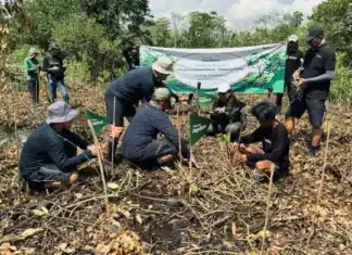 Tingkatkan Komitmen Terhadap Lingkungan: Telkomsel Hadirkan Jaga Bumi Carbon Offset Tahap Kedua