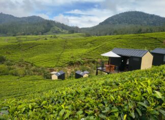 Motorola Edge 60 Fusion Jadi Teman Sempurna Saat Trekking