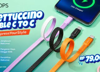 LOOPS Hadirkan Cable Fettuccino 150 cm Type-C 60W